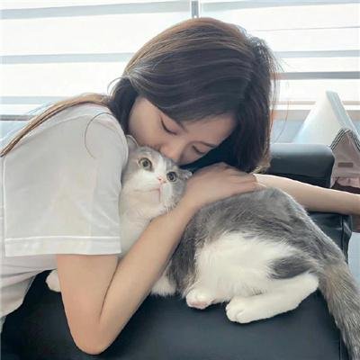 木更津猫眼 日本系列